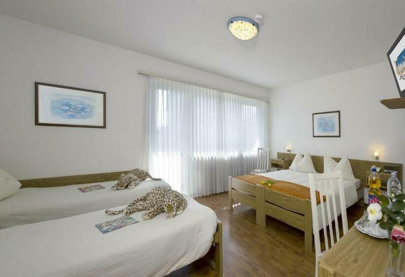 هتل Rondinella Locarno