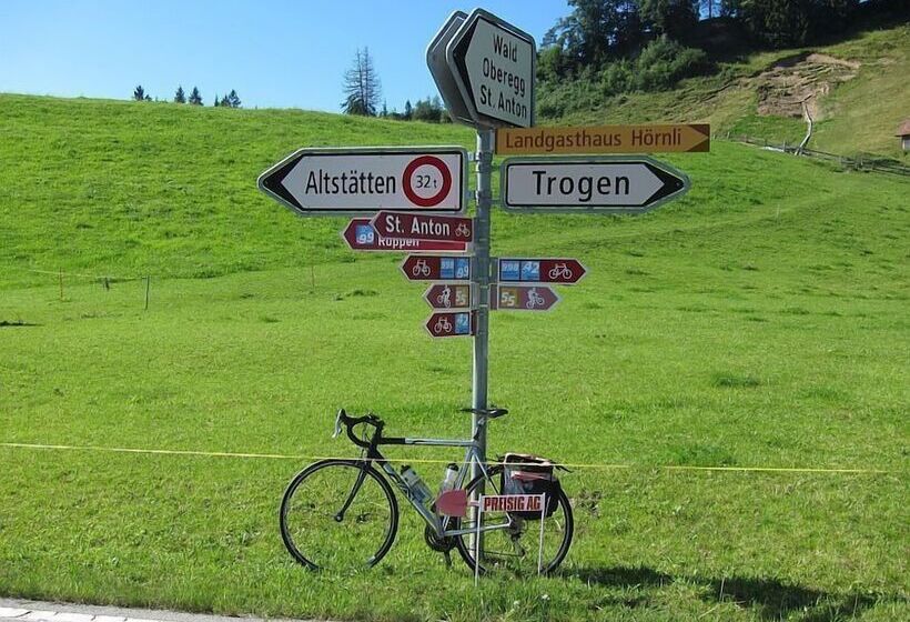 هتل Linde Heiden Swiss Quality