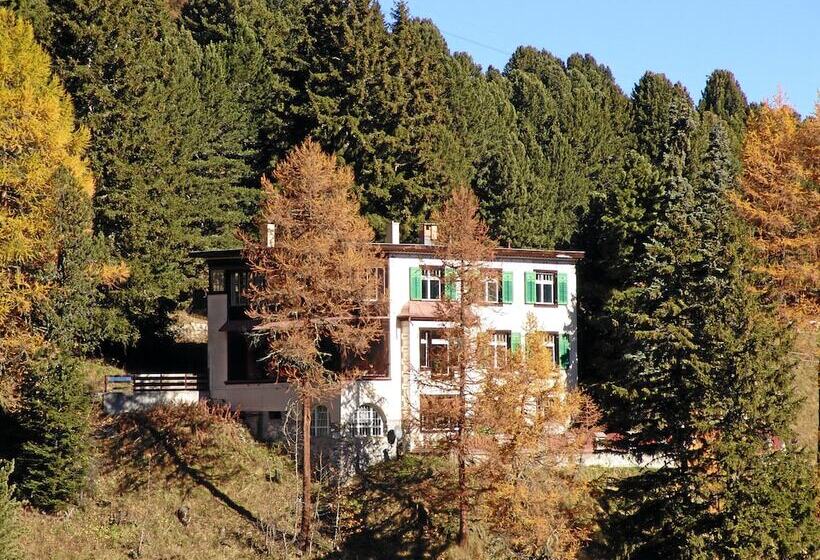 Fotos del hotel Schatzalp:  2