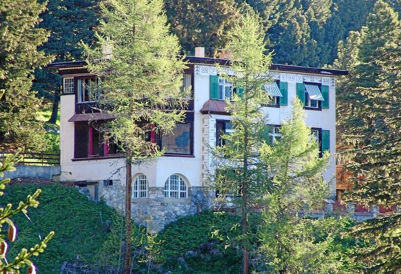Fotos del hotel Schatzalp:  14