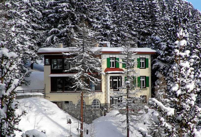 Fotos del hotel Schatzalp:  13