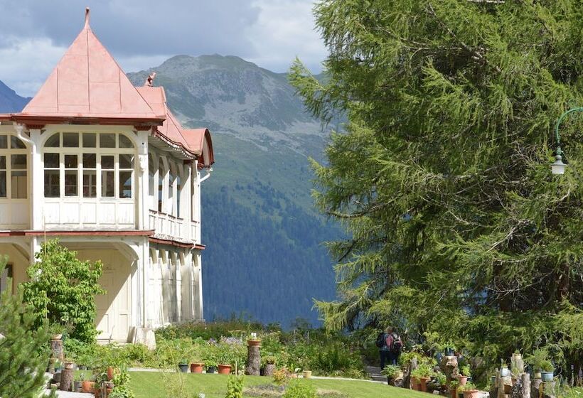 Fotos del hotel Schatzalp:  7