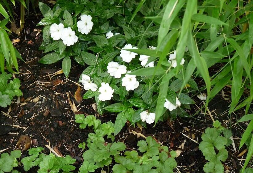 Fotos del hotel Elba Am Kurfürstendamm - Design Chambers:  12