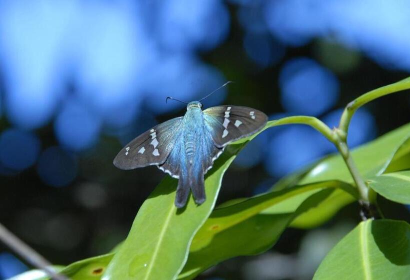 هتل La Mariposa