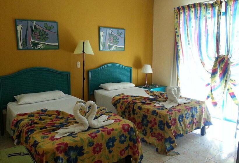 Fotos del hotel Los Delfines:  11