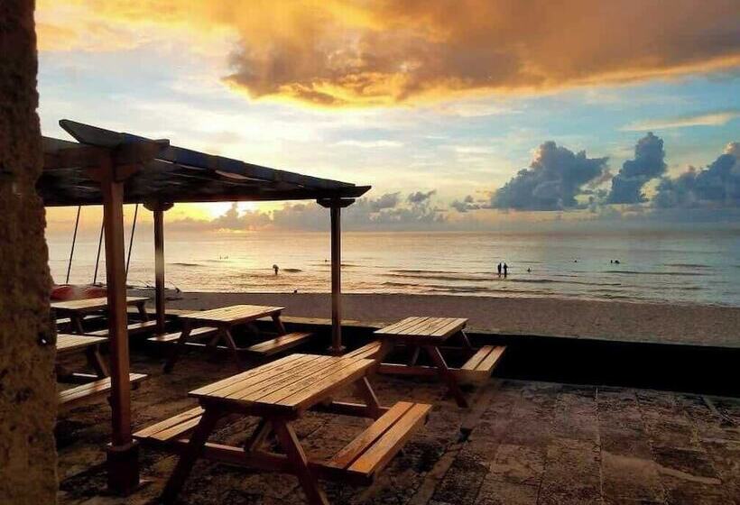 Fotos del hotel Los Delfines:  19
