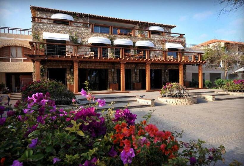 Fotos del hotel Morabeza:  20