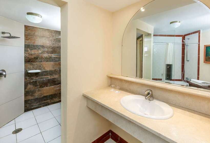 Fotos del hotel Sol Palmeras:  14