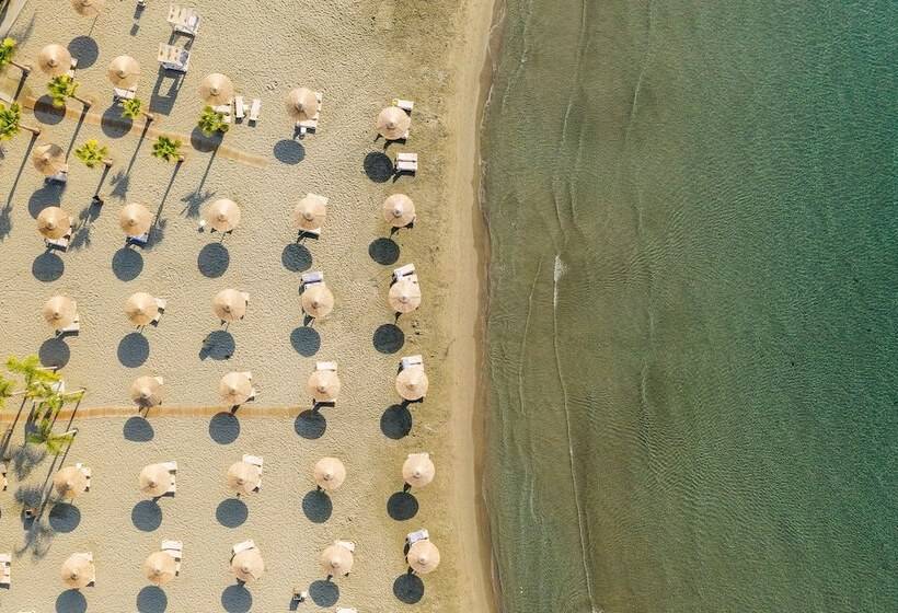 Fotos del hotel St Raphael Resort:  13