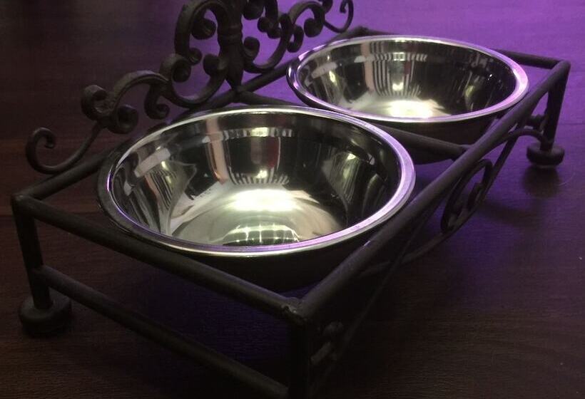 Fotos del hotel Am Volksgarten:  25