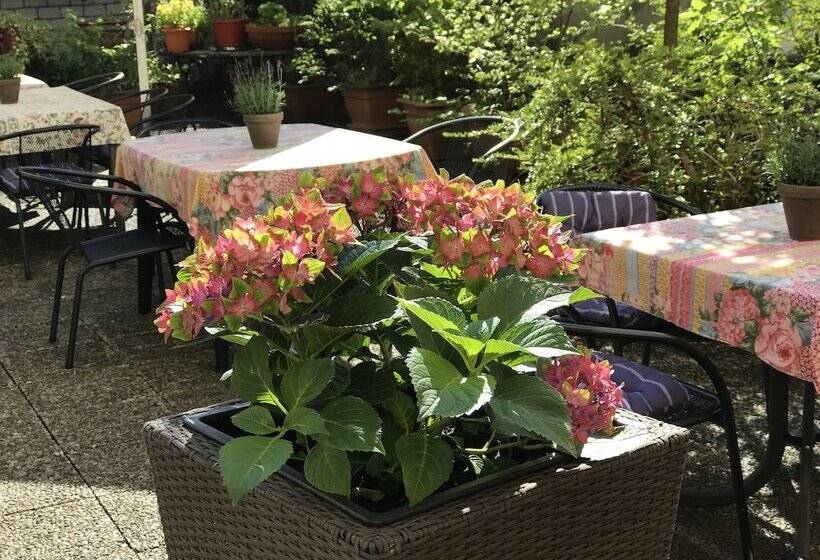 هتل Cascade Superior