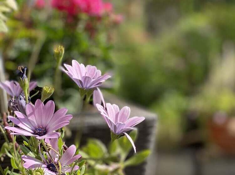 Fotos del hotel Cascade Superior:  6