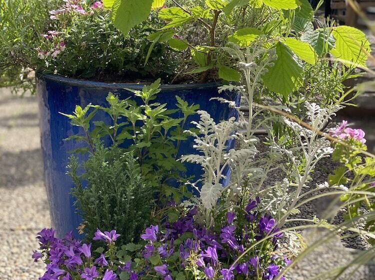 Fotos del hotel Cascade Superior:  10