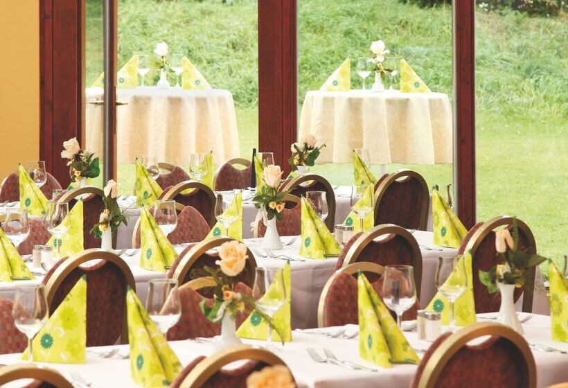 هتل Plaza Inn Goslar