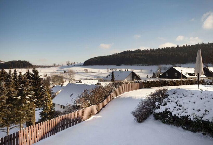 H+ Hotel Willingen