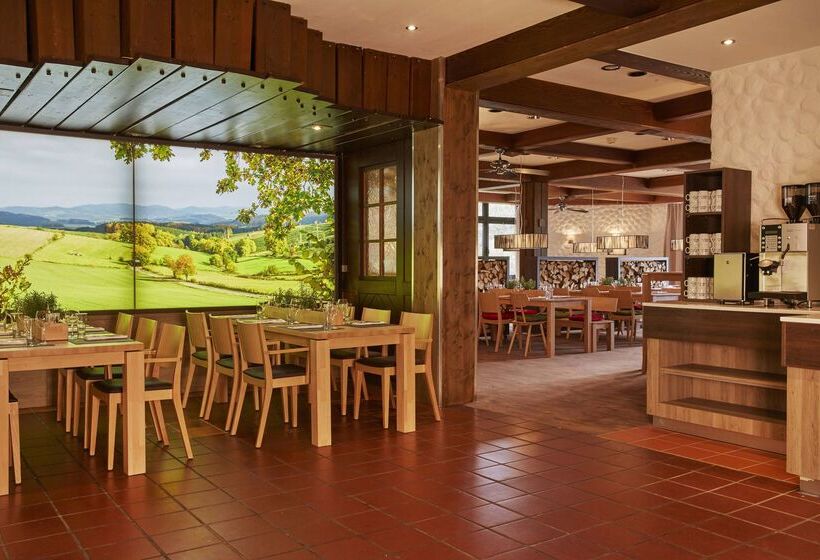 H+ Hotel Willingen