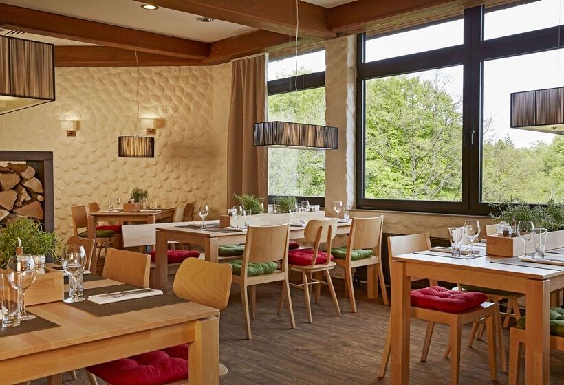 H+ Hotel Willingen