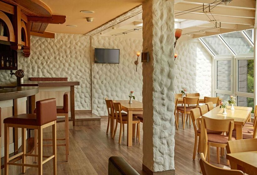 H+ Hotel Willingen