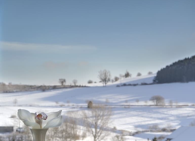 H+ Hotel Willingen