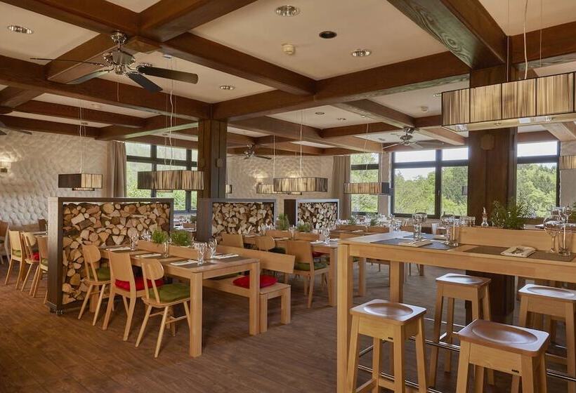 H+ Hotel Willingen