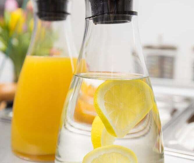 Fotos del hotel Hansa:  14