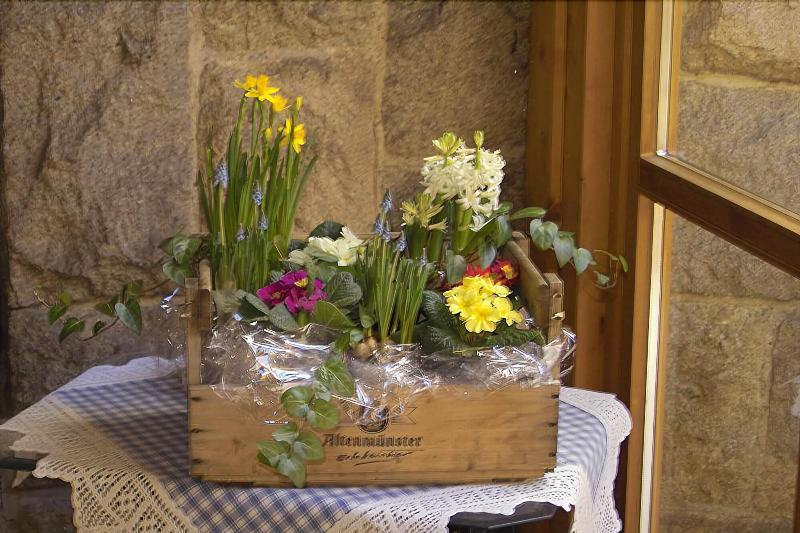 Landhotel Villa Foresta