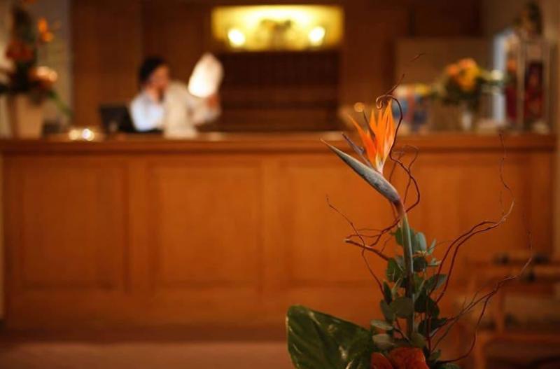 Fotos del hotel Lessing:  10