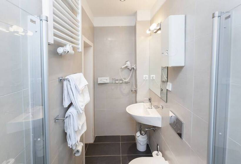 Fotos del hotel Prinz Anton:  4