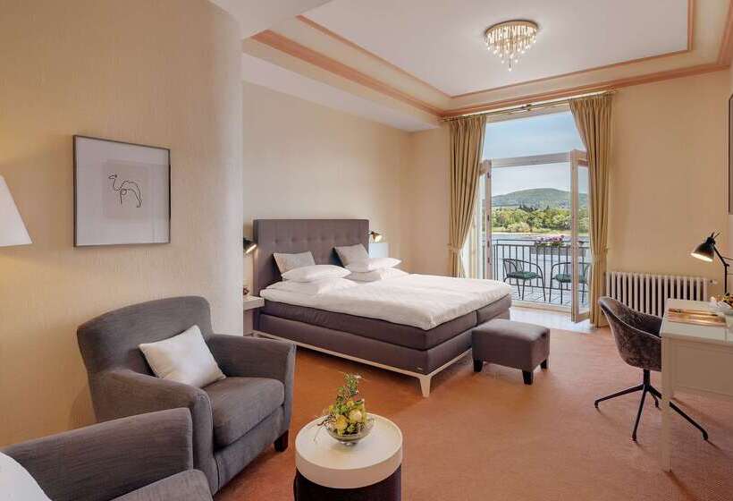 Rheinhotel Dreesen