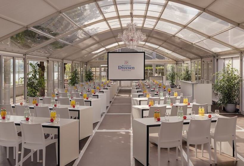Rheinhotel Dreesen
