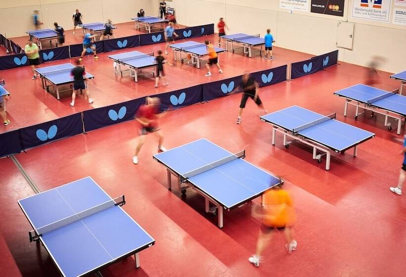 ホテル Zugbrücke Grenzau Gmbh