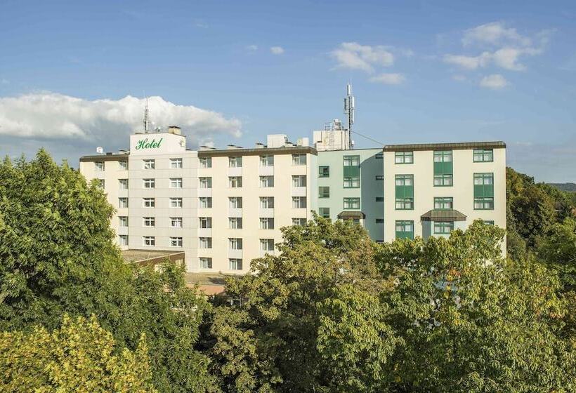 Отель Best Western Plus  Steinsgarten