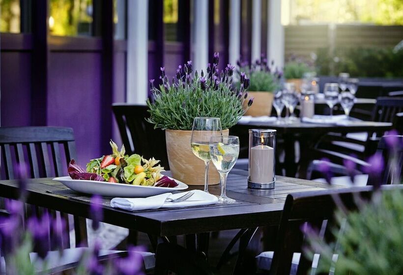 Fotos del hotel Essential By Dorint Frankfurt-niederrad:  26