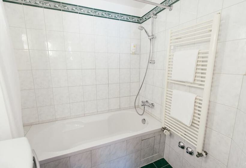 Fotos del hotel Excelsior  Central Station:  5