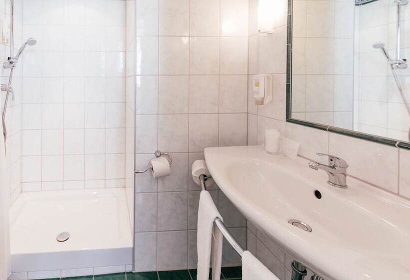 Fotos del hotel Excelsior  Central Station:  9