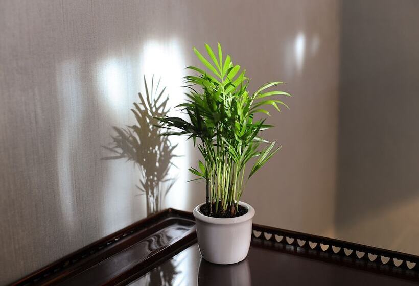 Fotos del hotel Palmenhof:  33