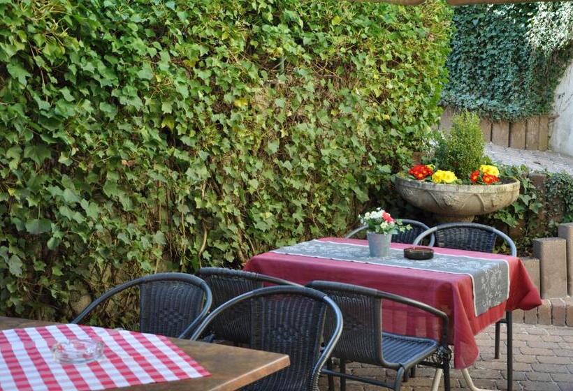 Отель Restaurant Zum Schwan