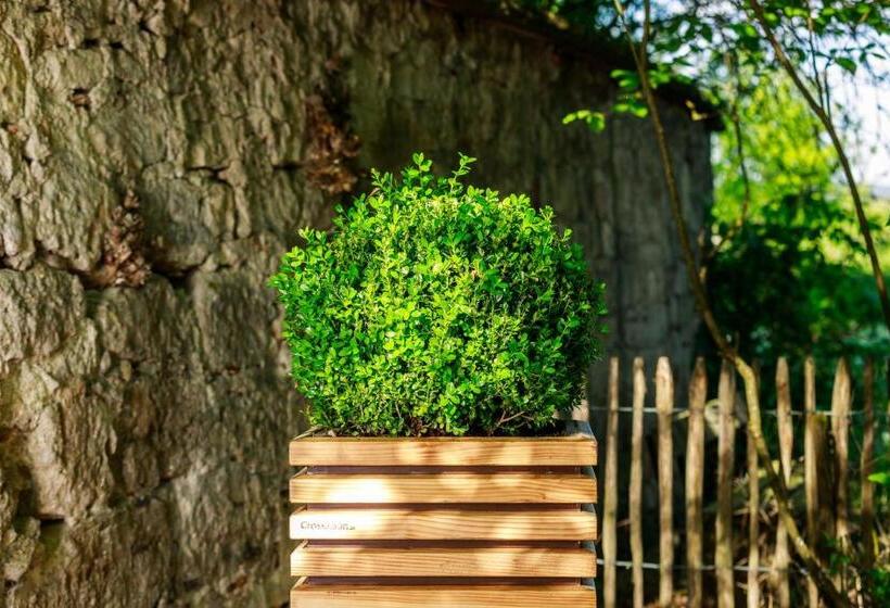 Maiers Johanniterbad Ringhotel Rottweil