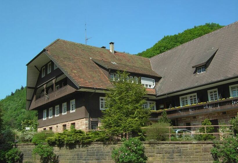 Schwarzwaldhotel Erdrichshof