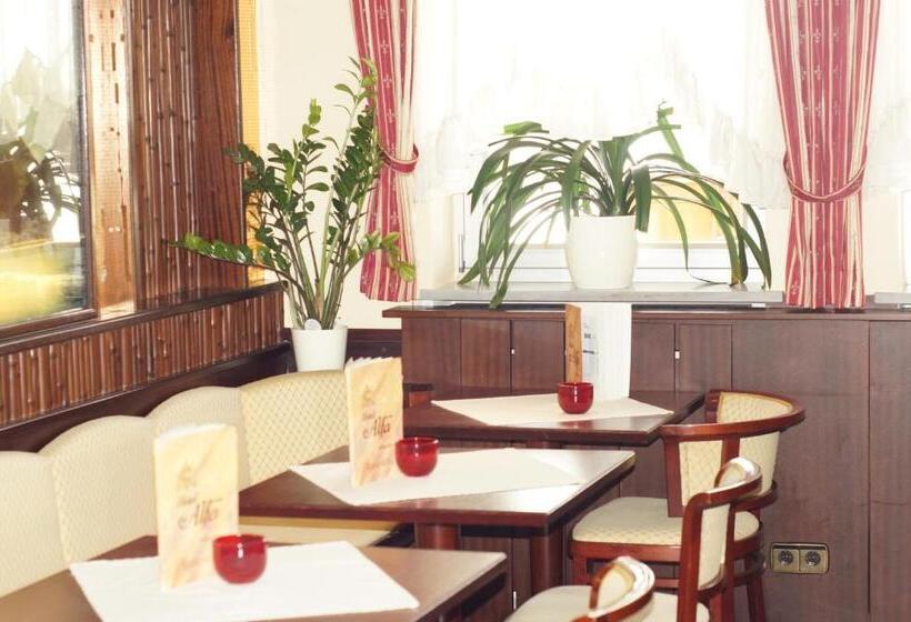 Fotos del hotel Alfa Zentrum:  31
