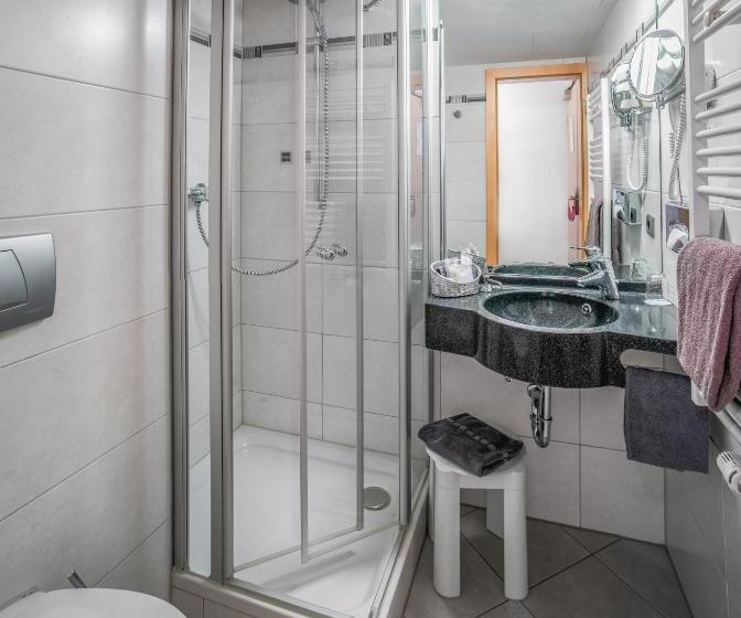 هتل Passauer Wolf