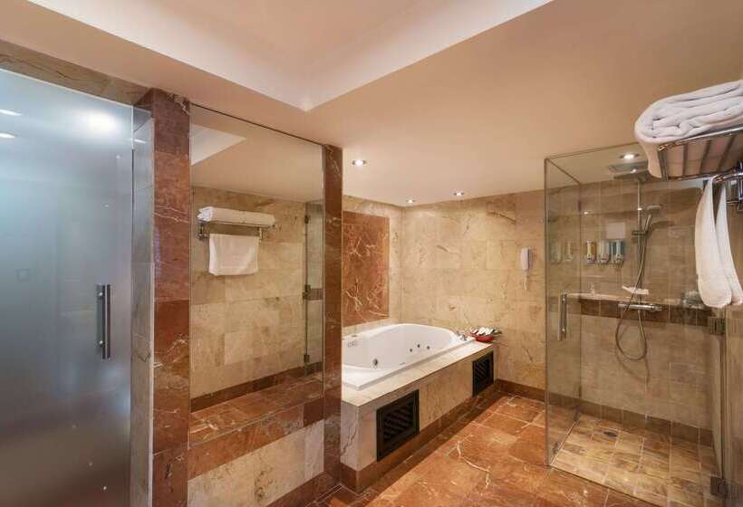 Fotos del hotel Barcelo Santo Domingo:  37