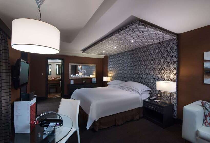 Fotos del hotel Barcelo Santo Domingo:  48