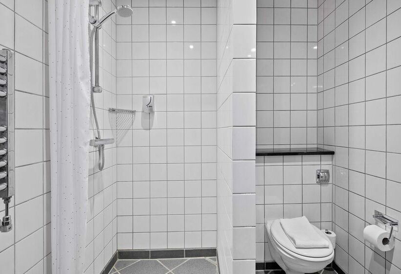 هتل Svendborg