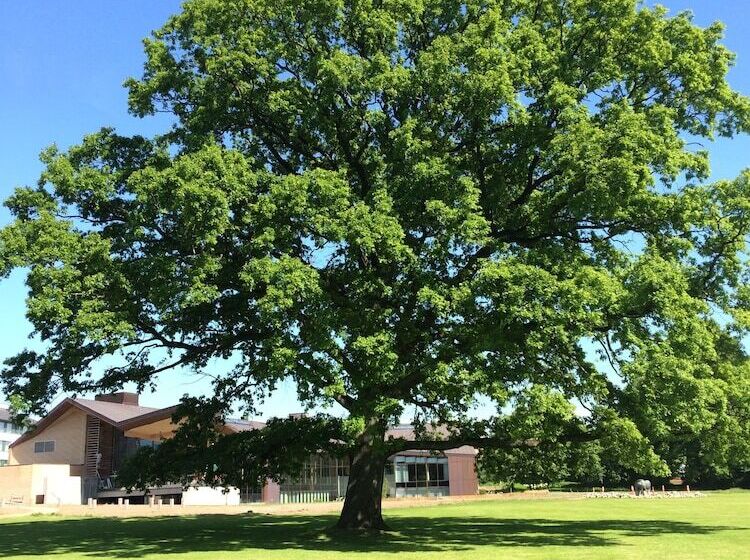Fotos del hotel Glostrup Park:  26