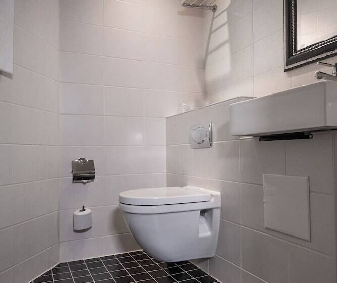 Fotos del hotel Mayfair:  3