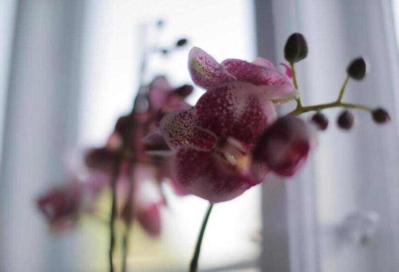 Fotos del hotel Skovshoved:  12