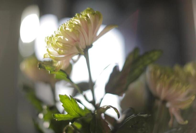 Fotos del hotel Skovshoved:  13