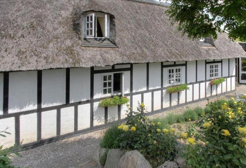 汽车旅馆 Lyng Dal Hotel Og Restaurant