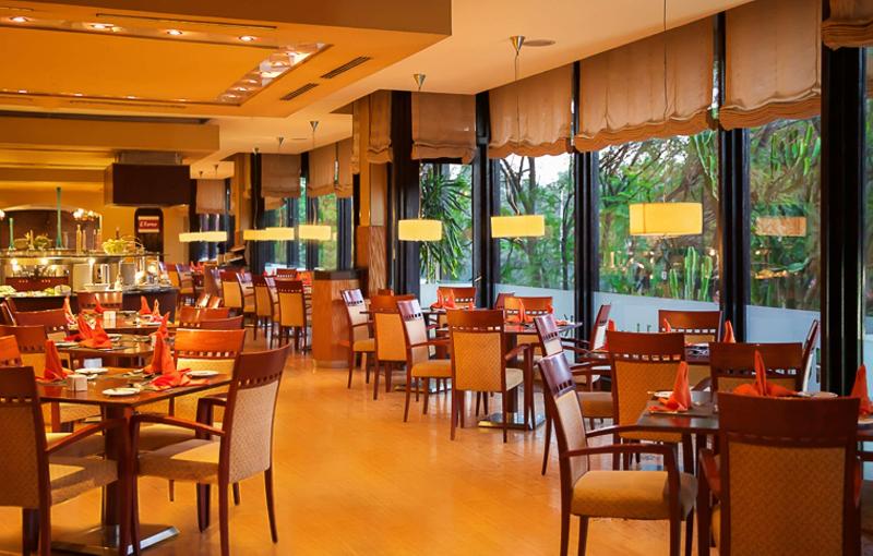 Fotos del hotel Hilton Addis Ababa:  25